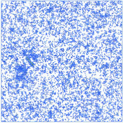 Rod-Assisted Nucleation MIPS