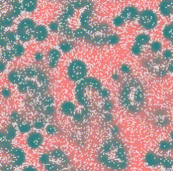 Chemotactic Particles