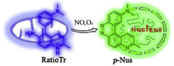 The Song Group The Materials Oganic Chemistry Laboratory 11 M J Xue X Z Wei W Feng Z F Xing S L Liu Q H Song Sensitive And Selective Detections Of Mustard Gas And Its Analogues By 4 Mercaptocoumarins As Fluorescent Chemosensors In