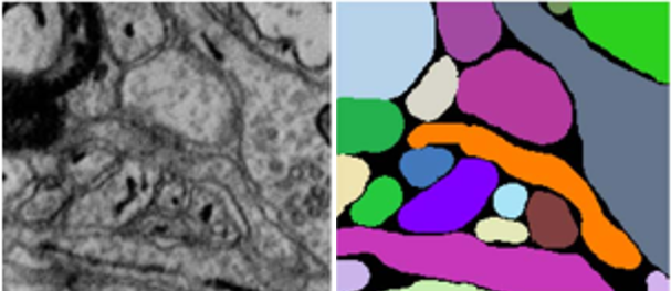 BioSAM