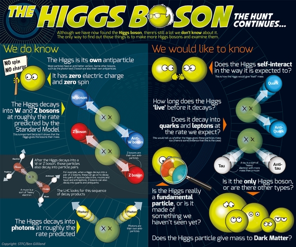 the higgs boson