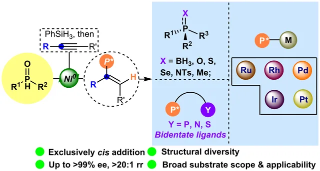 TOC graphic: Ni-Catalyzed Asymmetric Hydrophosphination of Unactivated Alkynes