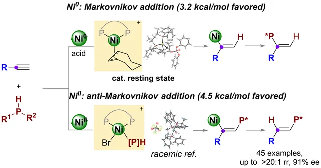 TOC graphic: NiII-Catalyzed Enantioselective Anti-Markovnikov Hydrophosphination of Unactivated Alkynes