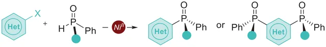 TOC graphic: Ni-Catalyzed Asymmetric C-P Cross-Coupling Reaction for the Synthesis of Chiral Heterocyclic Phosphine Oxides