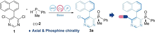 TOC graphic: Copper Catalyzed Asymmetric Synthesis of Pyrimidinyl Phosphine with both Axial and P-Stereogenicity