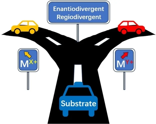 TOC graphic: Oxidation State-Based Selectivity Tuning in Transition Metal Catalysis