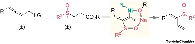 TOC graphic: An unconventional associated outersphere mechanism for chiral sulfoxide synthesis