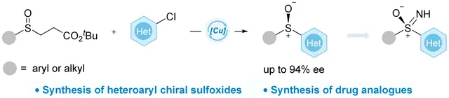 TOC graphic: Copper-Catalyzed Asymmetric Synthesis of Heteroaryl Sulfoxide
