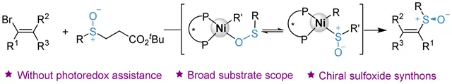 TOC graphic: Nickel-Catalyzed Enantioselective Synthesis of Chiral Alkenyl Sulfoxides