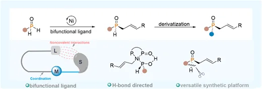 TOC graphic: Hydrogen-Bond-Directed Nickel-Catalyzed Allylation of Primary Phosphine Oxides