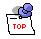 back top